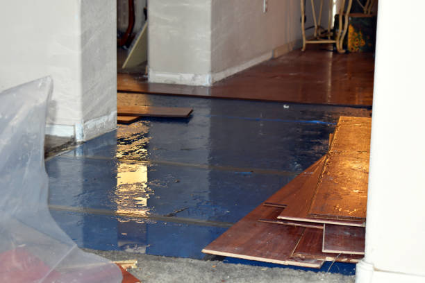 Professional Water Damage Restoration technician working in Peach Springs, AZ